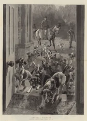 Visiteurs inhabituels